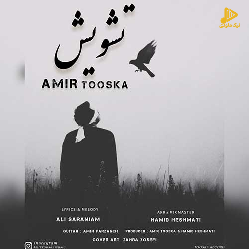 امیر توسکا – تشویش