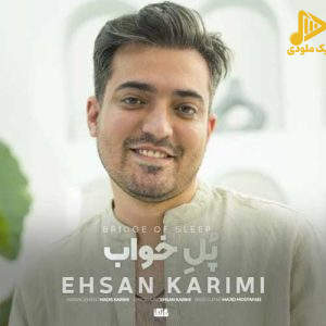 احسان کریمی – پل خواب