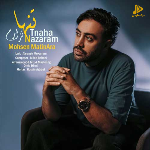 محسن متین آرا – تنها نزارم