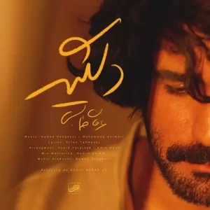 عرفان طهماسبی – دلگیر