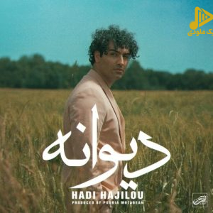 هادی حاجیلو – دیوانه