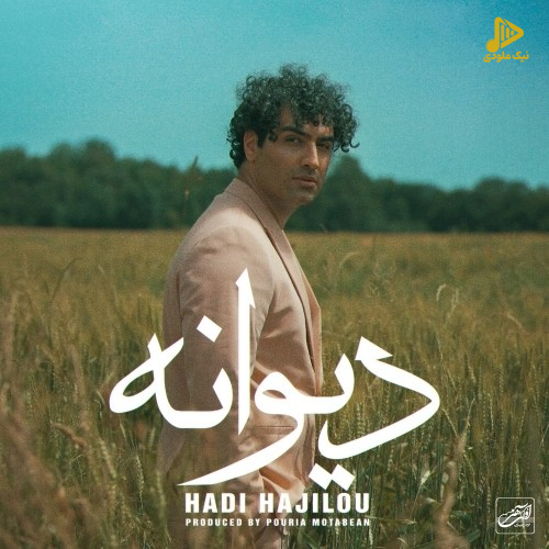 هادی حاجیلو – دیوانه