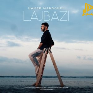 حامد منصوری – لجبازی