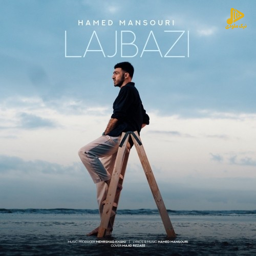 حامد منصوری – لجبازی