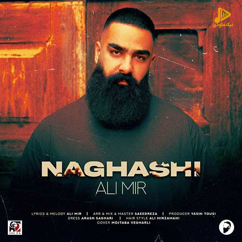 علی میر – نقاشی