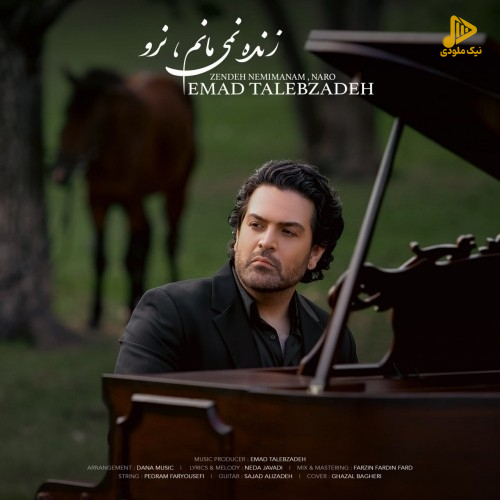 عماد طالب زاده – زنده نمی مانم نرو