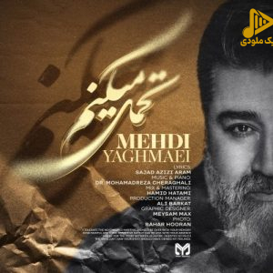 مهدی یغمایی – تحمل میکنم