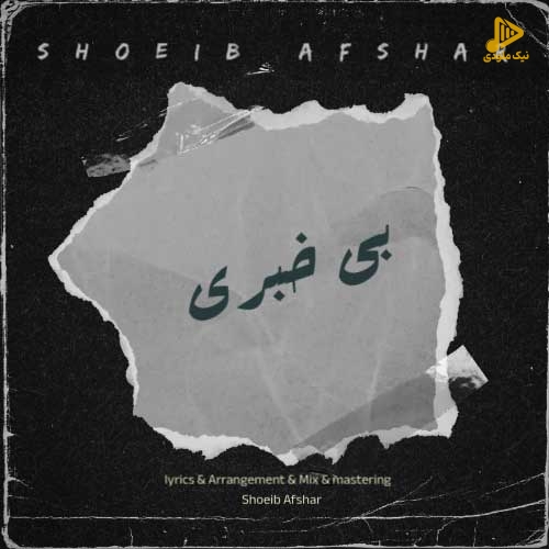 شعیب افشار – بی خبری