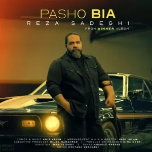 رضا صادقی – پاشو بیا