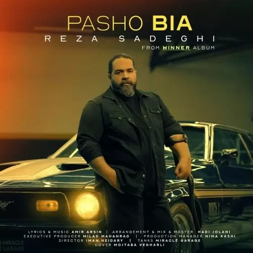 رضا صادقی – پاشو بیا