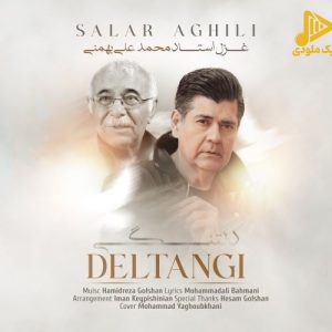 سالار عقیلی – دلتنگی