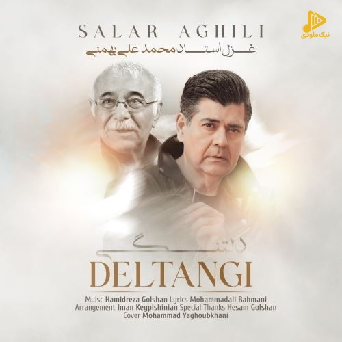 سالار عقیلی – دلتنگی