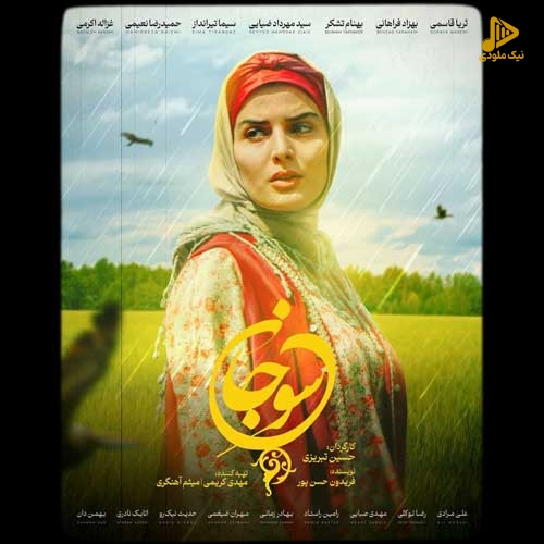 حامد آئین – سوجان