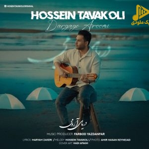 حسین توکلی – دریای آرومی
