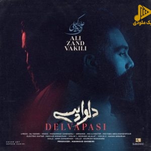 علی زند وکیلی – دلواپسی