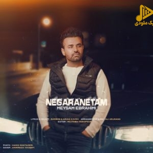 میثم ابراهیمی – نگرانتم