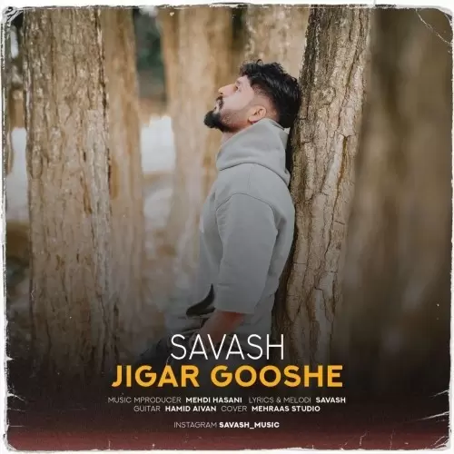 ساواش – جیگر گوشه