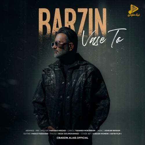 برزین – واسه تو