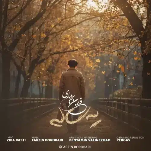 فرزین بردباری – یه ساله