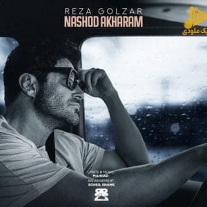 محمدرضا گلزار – نشد آخرم