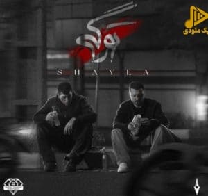 شایع – تو رگی