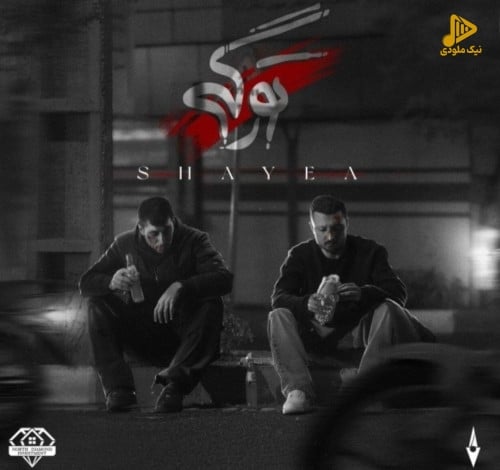 شایع – تو رگی