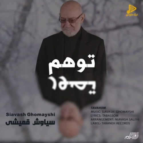 سیاوش قمیشی – توهم