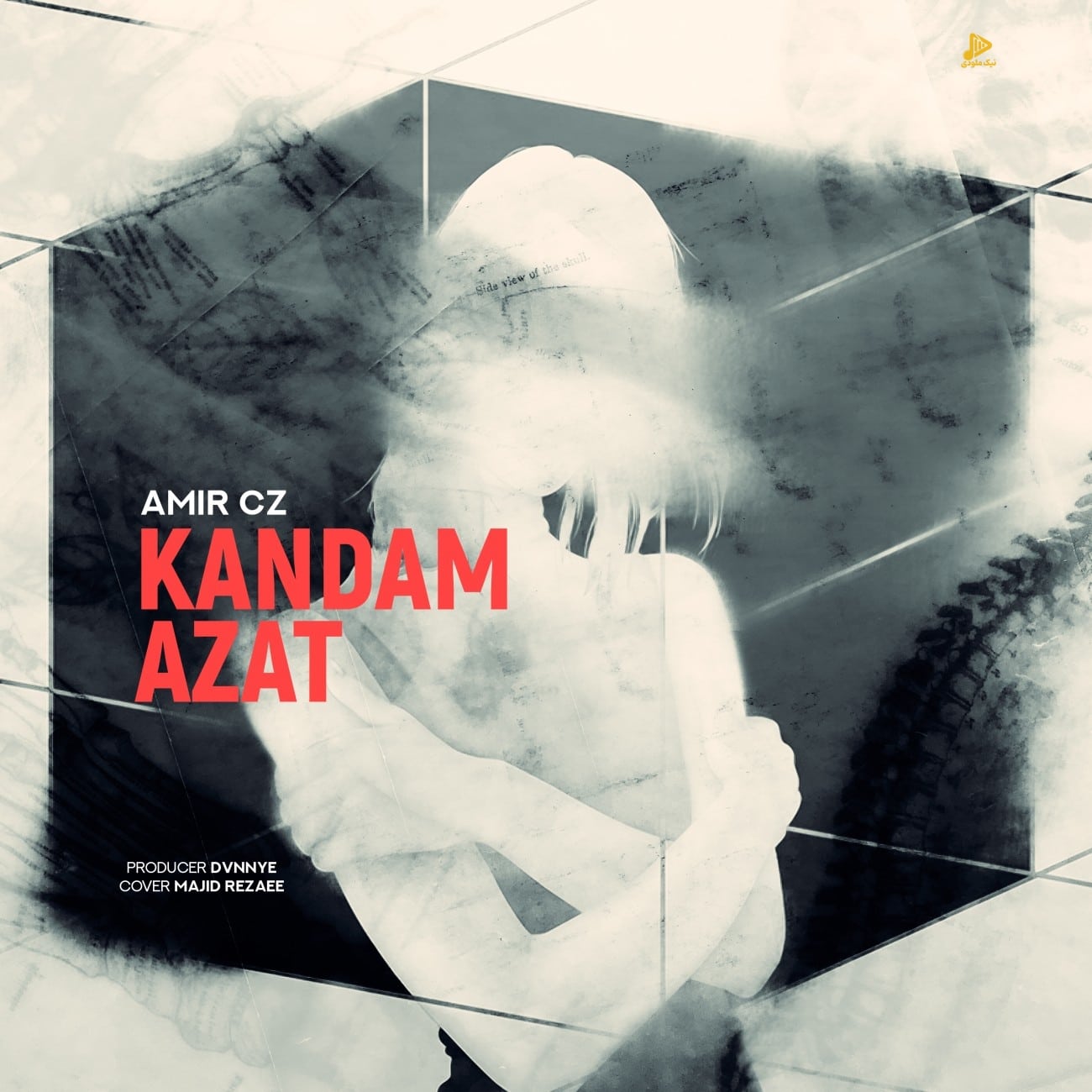 امیر سی زد – کندم ازت