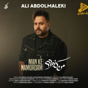 علی عبدالمالکی – من که نمردم