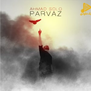 احمد سلو – پرواز