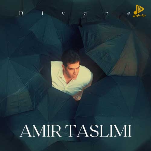 امیر تسلیمی – دیوانه