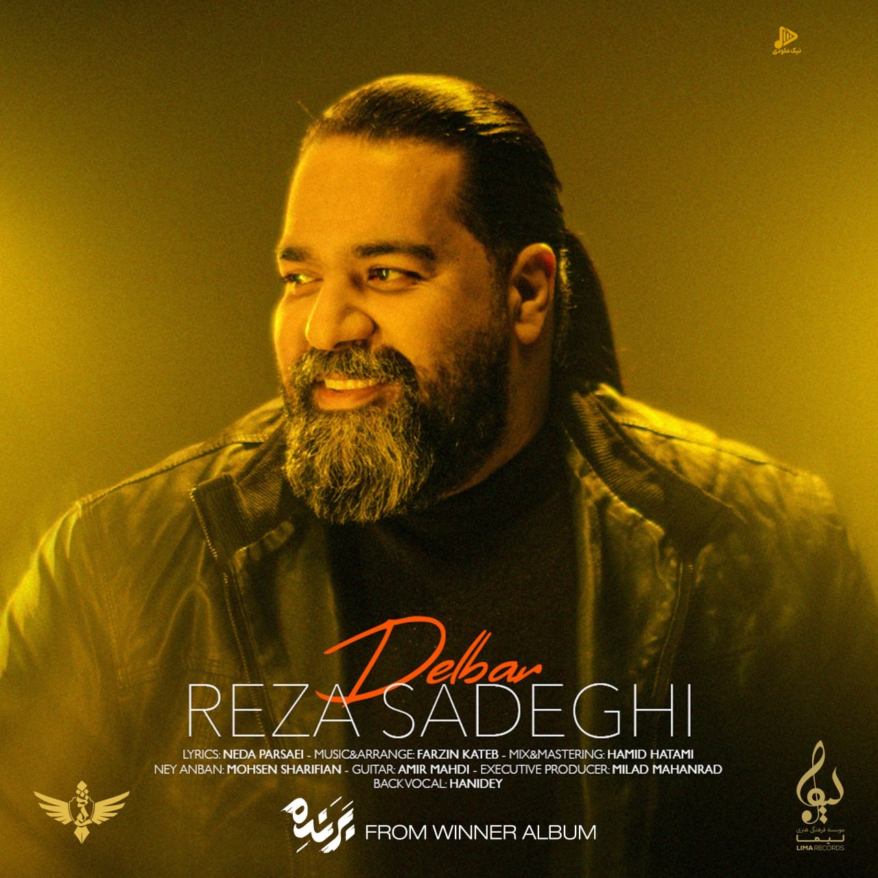رضا صادقی – دلبر
