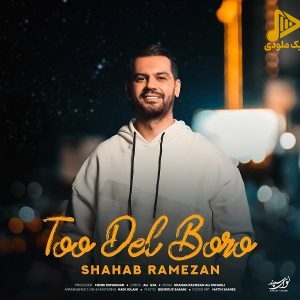 شهاب رمضان – توو دل برو