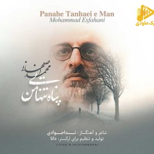 محمد اصفهانی – پناه تنهایی من