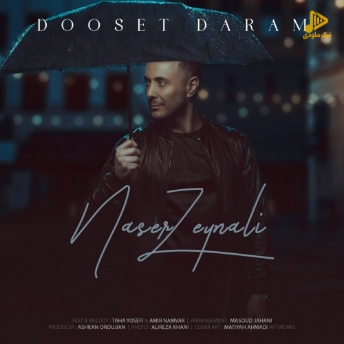ناصر زینلی – دوست دارم