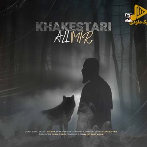 علی میر – خاکستری