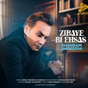 شهرام شکوهی – زیبای بی احساس