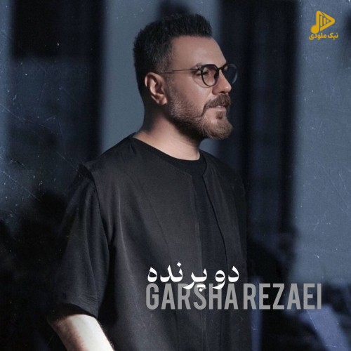 گرشا رضایی – دو پرنده