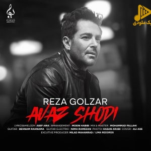 محمدرضا گلزار – عوض شدی