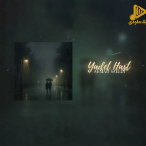 احمد سعیدی – یادت هست