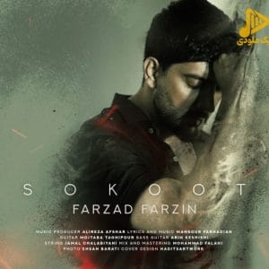 فرزاد فرزین – سکوت