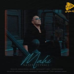 ناصر زینلی – ماهی