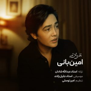 دانلود آهنگ جدید وقتی عاشق شوی از امین بانی