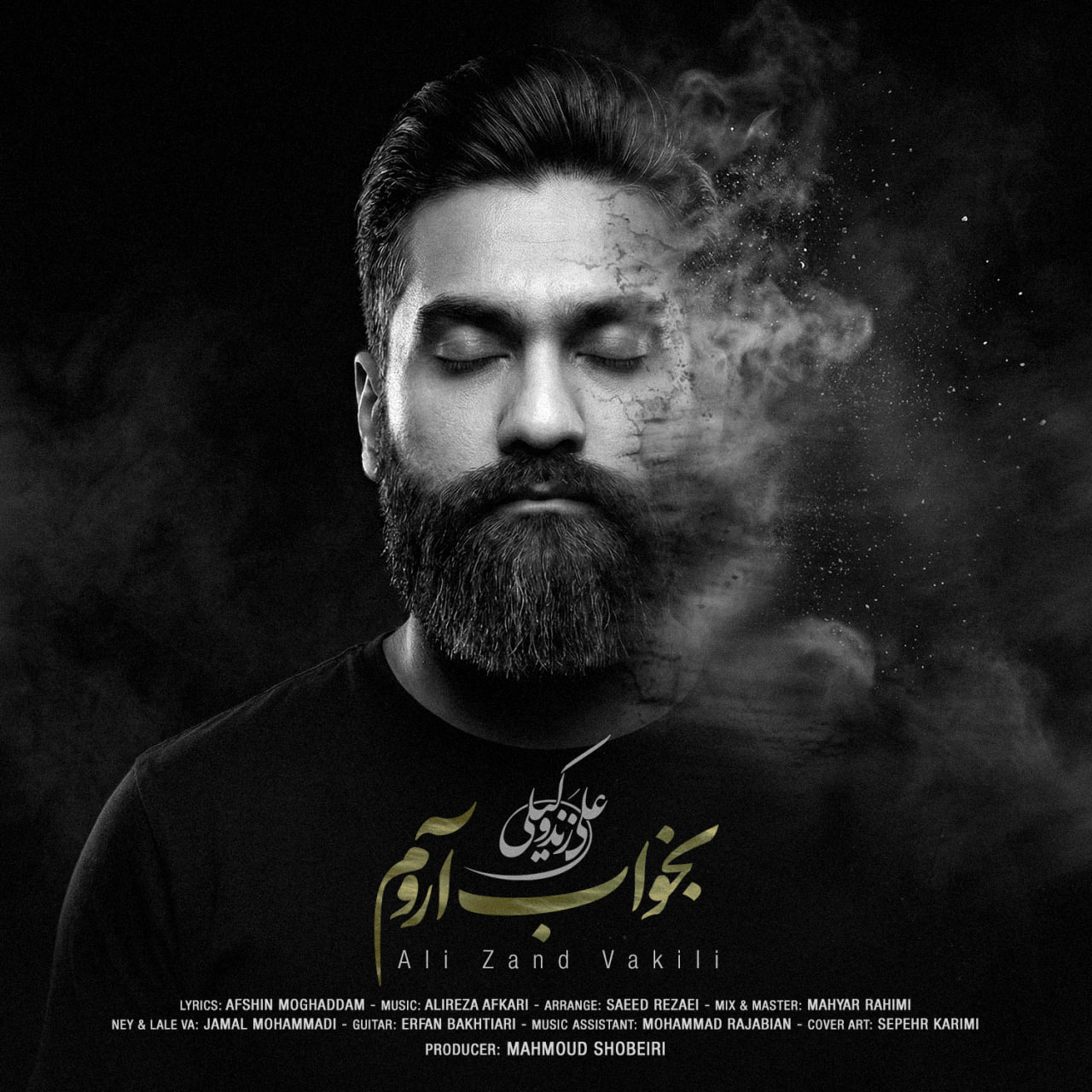 دانلود آهنگ جدید بخواب آروم از علی زند وکیلی