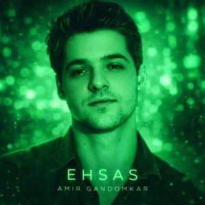 دانلود آلبوم جدید احساس از امیر گندم کار