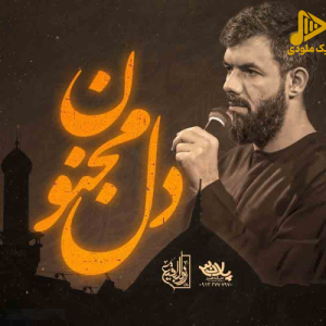 حسین ستوده - عشقو مهمون دلم کردی