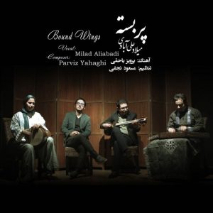 میلاد علی آبادی - پر بسته
