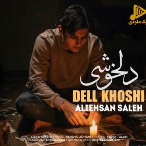 دانلود آهنگ جدید دلخوشی از علی احسان صالح