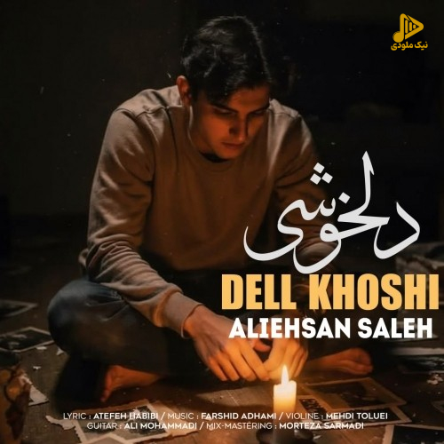 دانلود آهنگ جدید دلخوشی از علی احسان صالح