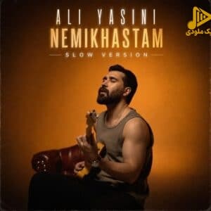 دانلود آهنگ جدید نمیخواستماسلو از علی یاسینی